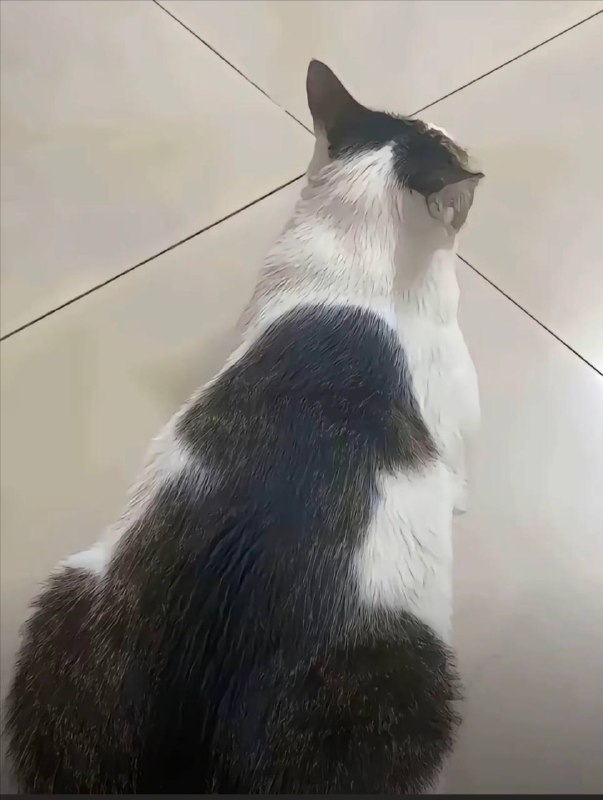 了吧急成看 #咪咪