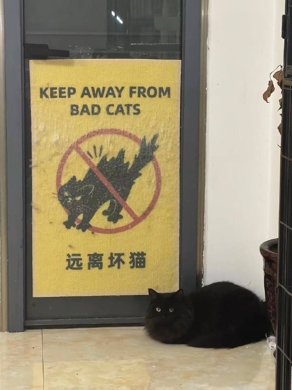 是我吗？（摇尾巴）