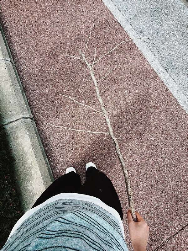艺术水平有说法的