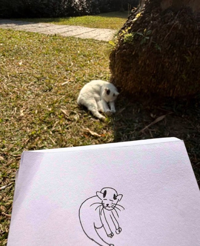 丑术生