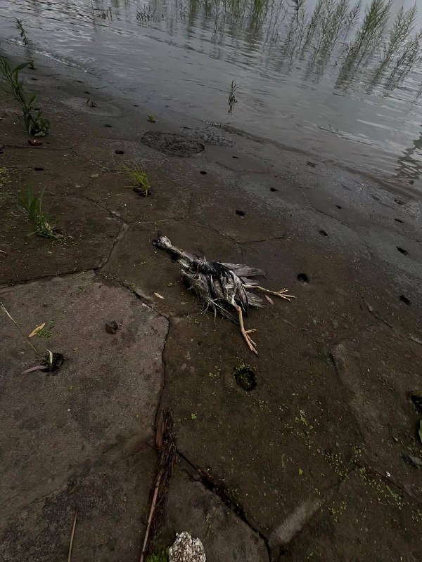 #死