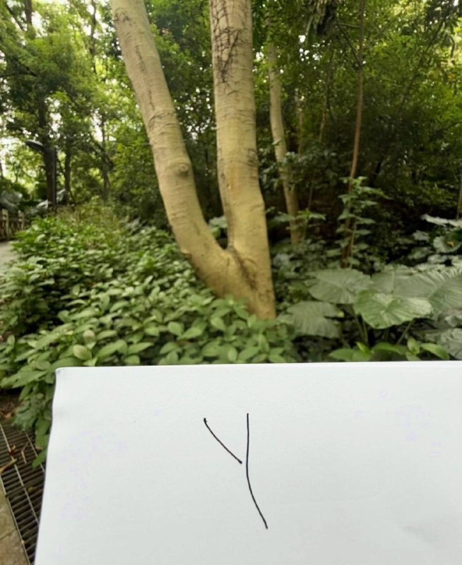 丑术生