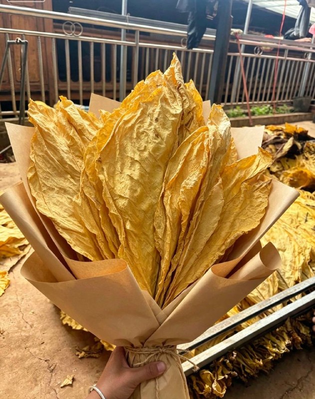 不送鲜花，送你烟花