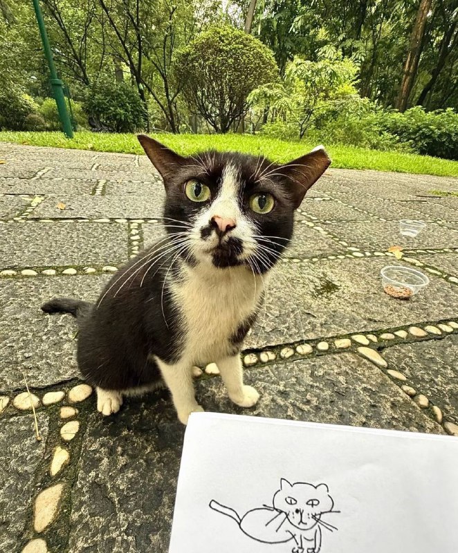 丑术生