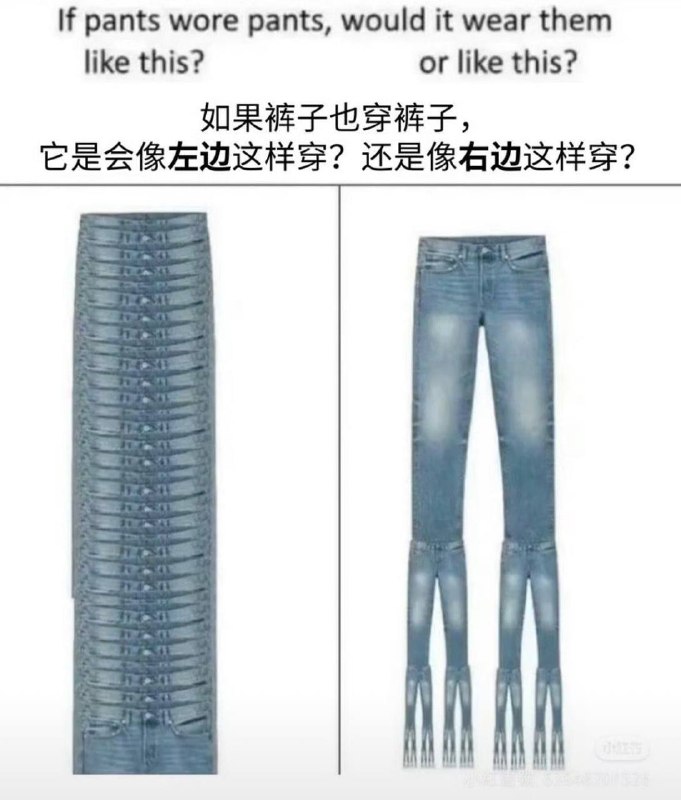 which one