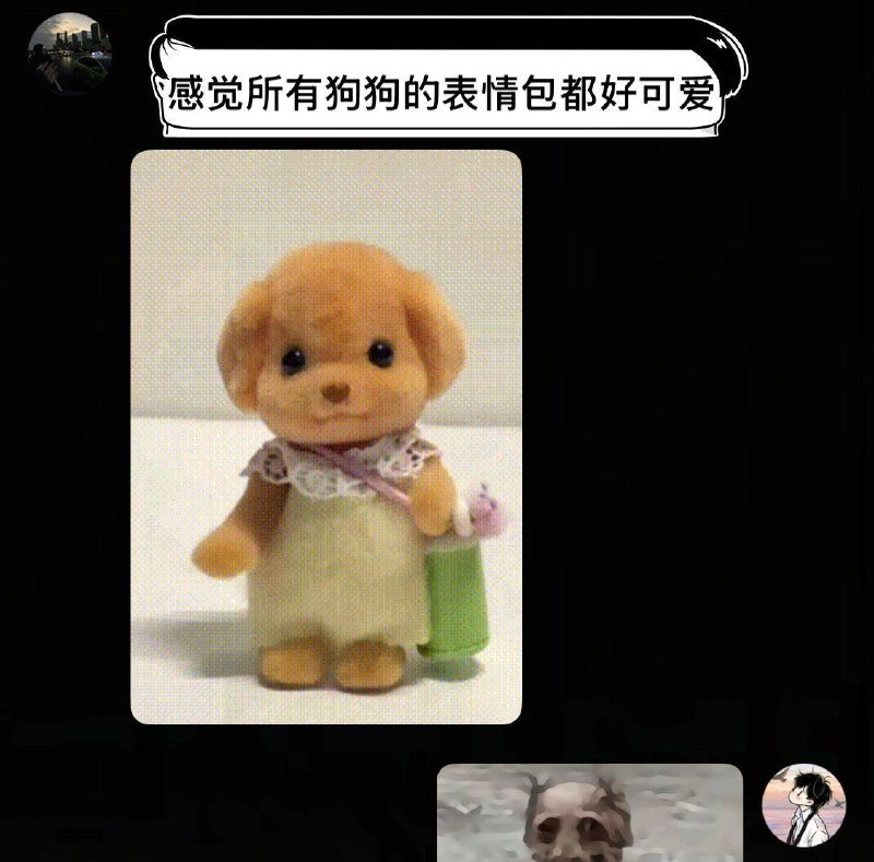 犹抱琵琶半遮面 #泰迪￼￼