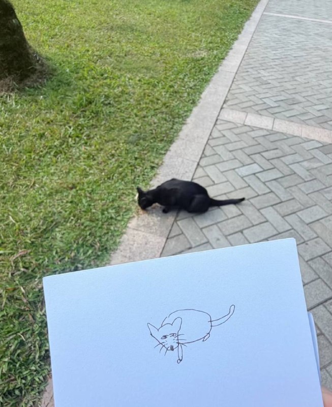 梵低
