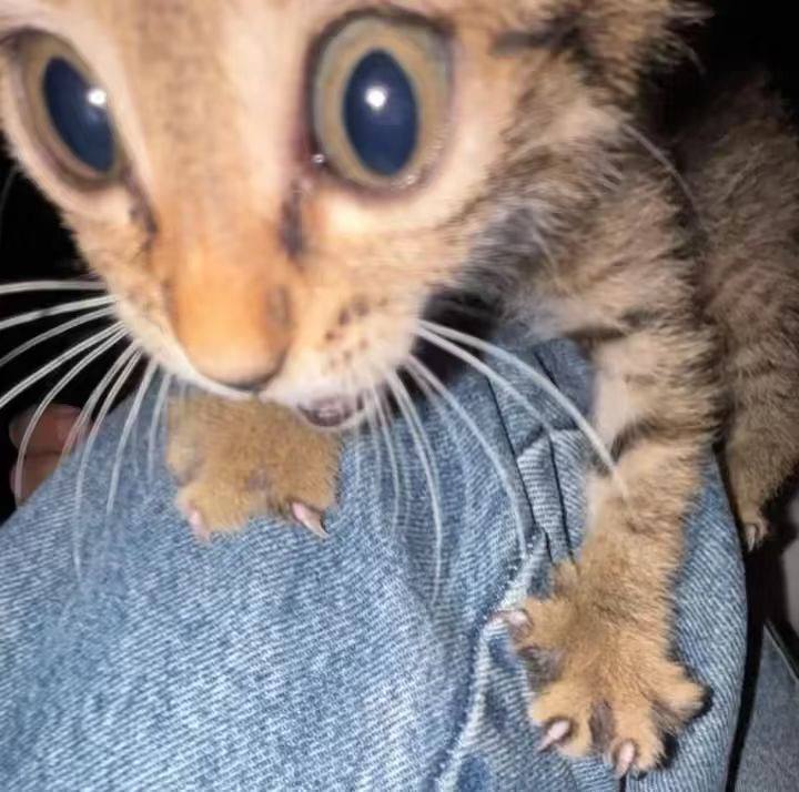 ！！！
