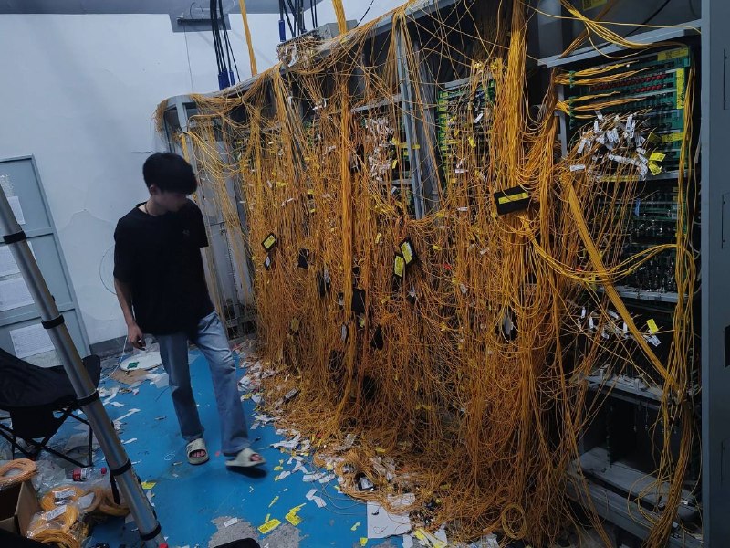 斯是仙人也