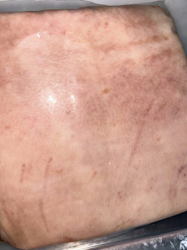 #人相食￼￼