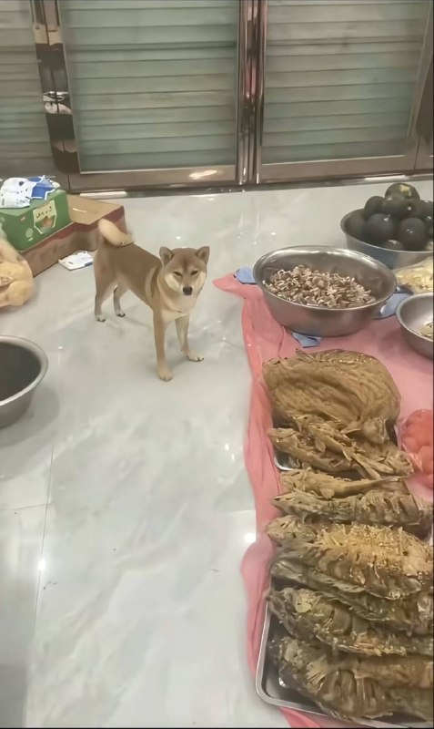 攒这么久的信誉分是时候了￼￼