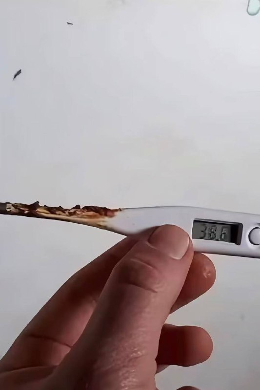 有点发烧了